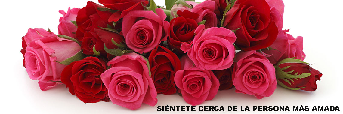 Rosas rojas